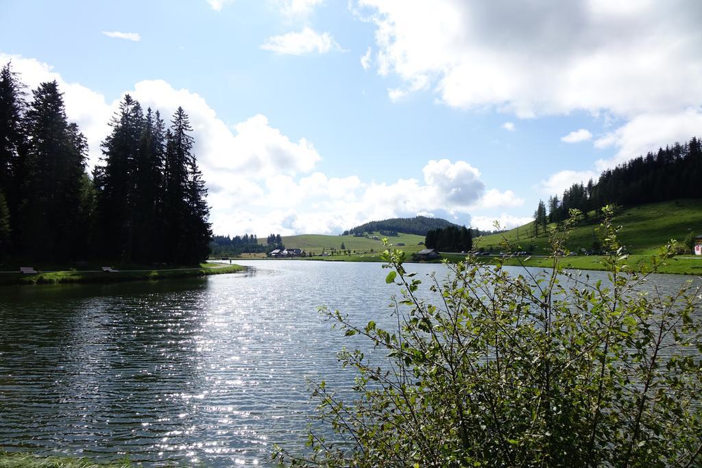 Ferienwohnungen Perhofer Birkfeld Exterior foto