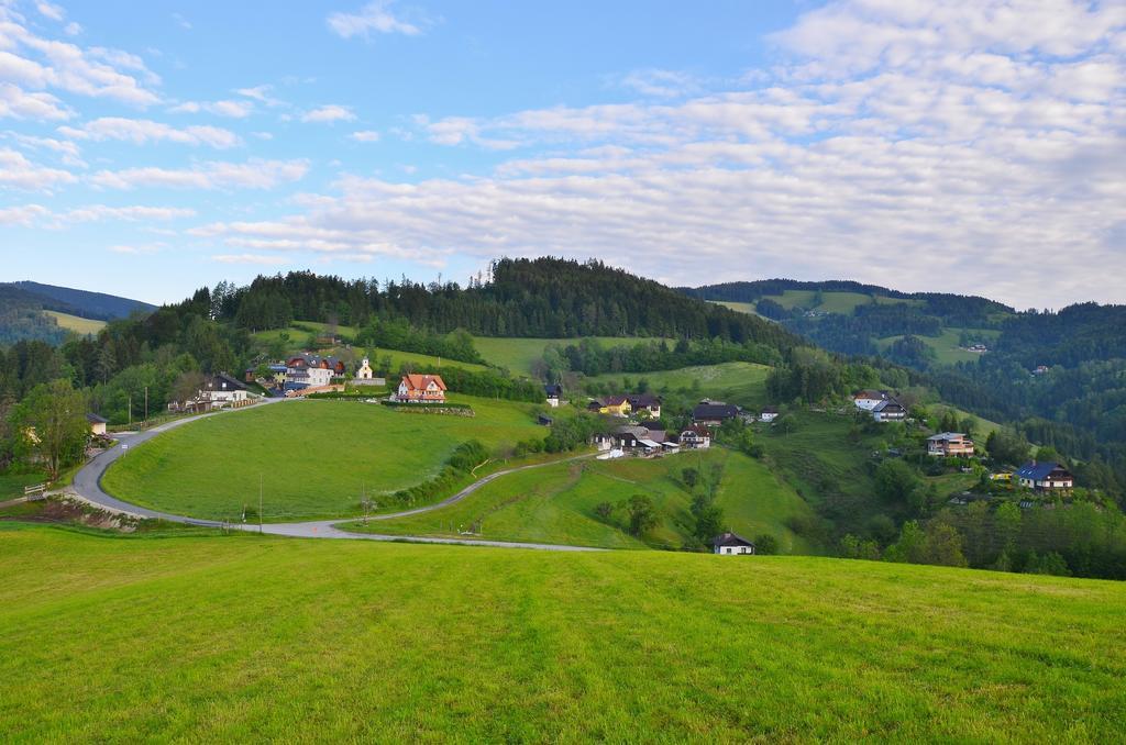 Ferienwohnungen Perhofer Birkfeld Exterior foto